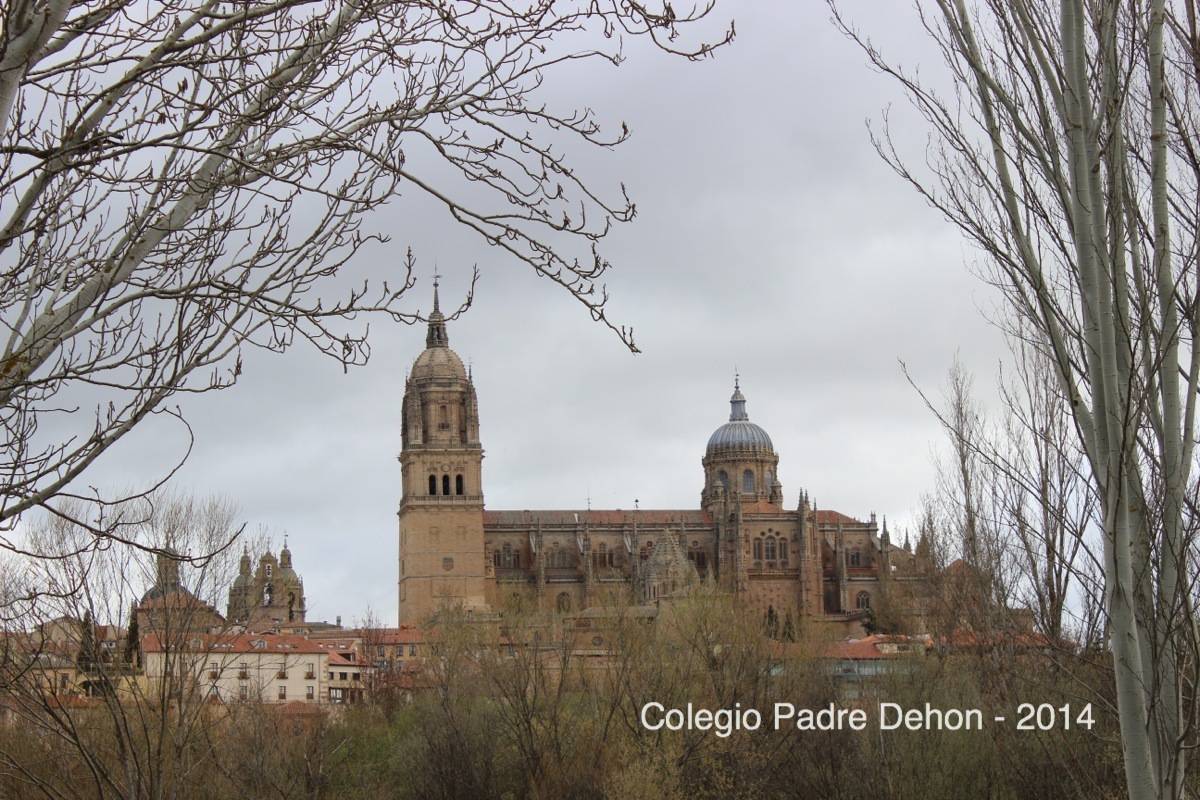 2014 03 22 SALAMANCA (12)